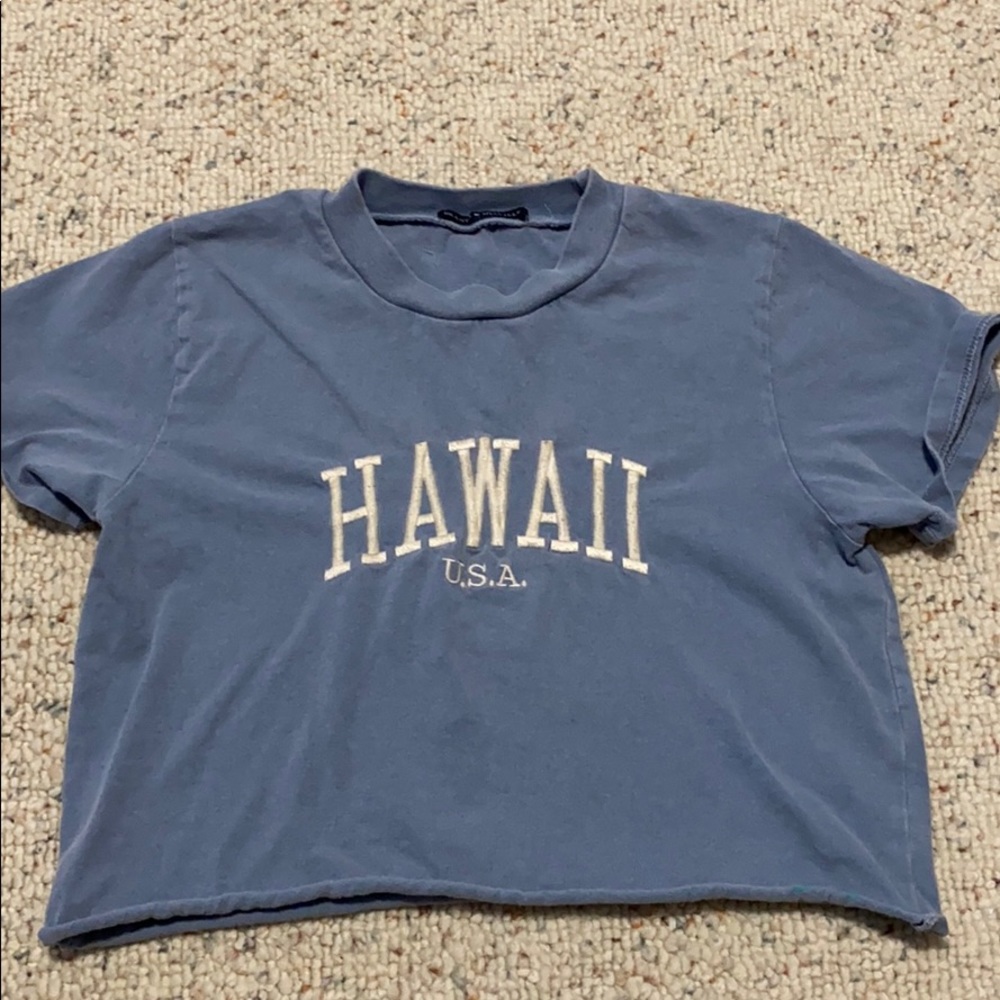Blue brandy Melville hawaii top
